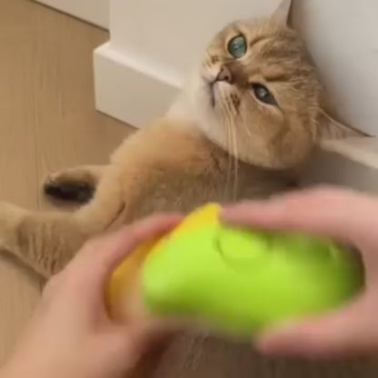 CEPILLO DE VAPOR PARA GATOS Y PERROS